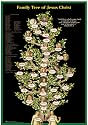 Adam to Jesus - Biblical Family Tree Poster