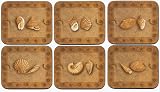 Jason Coasters - Sea Shells - Set of 6
