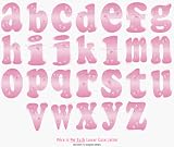 Pink Dragonfly Alphabet Letter Name Wall Sticker baby nursery girls room decor decoration