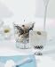 Weddingstar 6076 Shell Silver Place Card Holders