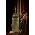 Thumbnail image of Esperanza Spalding