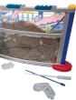 Geo Safari Ant Factory