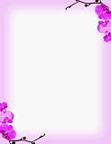 Masterpiece Pink Orchids Letterhead - 8.5 x 11 - 100 Sheets