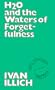 H2O and the Waters of Forgetfulness (Ideas in Progress)