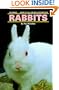 Rabbits