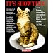 Cat books that are useful, interesting, and/or beautiful