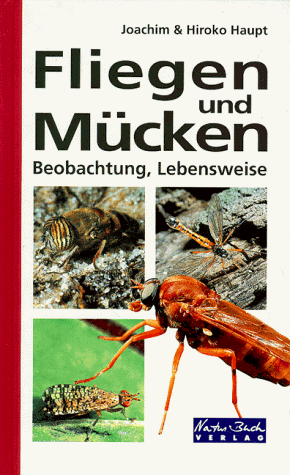 Beobachtung