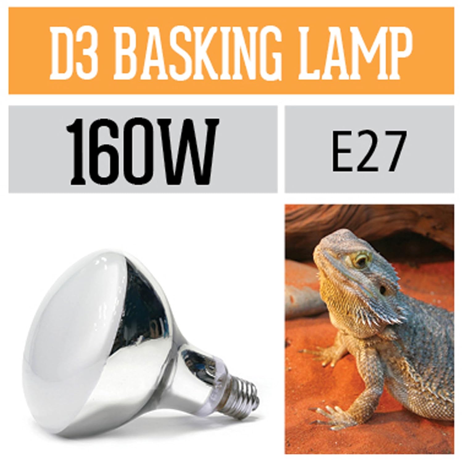 A Guide to Vivarium Heating Vivarium World