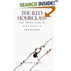 The Red Hourglass