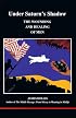 Under Saturn's Shadow: The Wounding and Healing of Men (Studies in Jungian Psychology By Jungian Analysts)