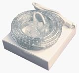 10-foot Commercial Grade Rope Light Kit