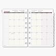 Day Runner Express Monthly Planning Pages Refill, 2010 Edition, 5.50 x 8.50 Inches, (061-685Y)