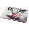 Cat Lover's Compendium