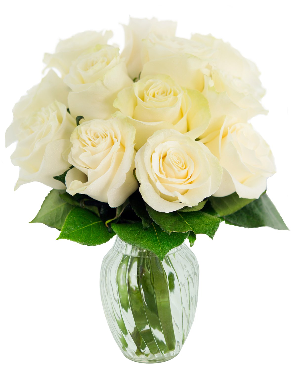 Roses sold direct by the grower at Farmers Market Online