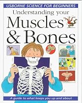 Understanding Your Muscles And Bones Internet Linked R