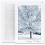 Snow Tree Holiday Cards