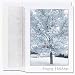 Kitchen & Housewares : Snow Tree Boxed Holiday Cards