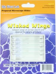 Wicked Wings Microscope Slides