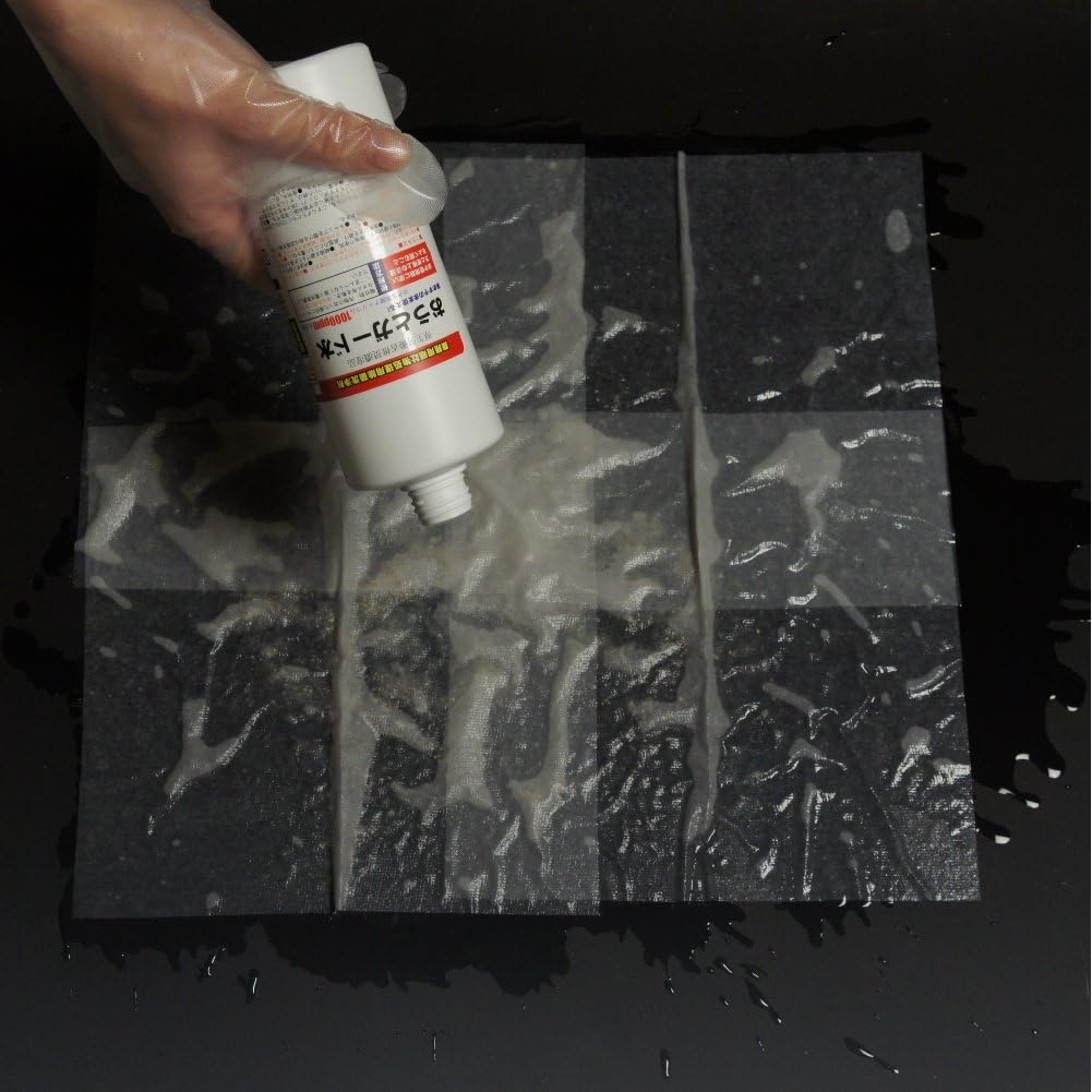 ノロウイルス対策?呕吐物处理セット 「おうと