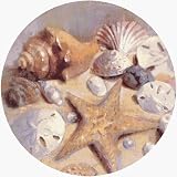 Thirstystone TS505R Natural Sandstone Coaster Set Sea Shells