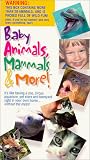Baby Animals, Mammals and More