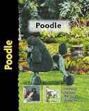 Poodle