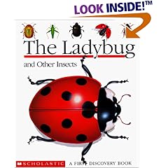 The Ladybug and Other Insects (A First Discovery Book)