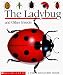 Book The Ladybug and Other Insects (A First Discovery Book)