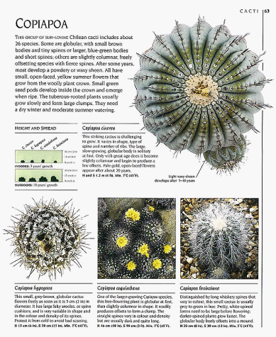 The Complete Book of Cacti & Succulents