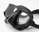 Tilos 2-Window Purge Panoptic Tempered Lens Low-Volume Mask