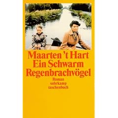Ein Schwarm Regenbrachv�gel.