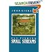 Fly Fishing Small Streams