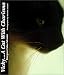 Book Vicky... a Cat With Charisma