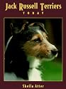 Jack Russell Terriers Today