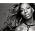 Thumbnail image of Mary J. Blige