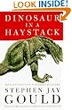 Dinosaur in a Haystack: Reflections in Natural History