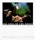 The Soul of the World: A Modern Book of Hours