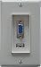 Electronics : VGA & USB Input Wall Plate