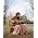 Vignette de Bethany Dillon