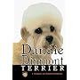 Dandie Dinmont Terrier (Rare Breed)