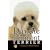 Dandie Dinmont Terrier (Rare Breed)