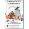Cat and Dog books
