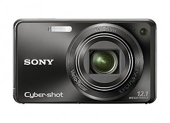 Sony Cyber-shot DSC-W290 12.1 MP Digital Camera with 5x Optical Zoom and Super Steady Shot Image Stabilization (Black)