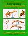 Show Jumping (Threshold Picture Guide) (Threshold Picture Guide)
