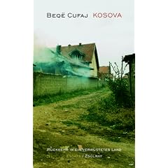 Kosova - R�ckkehr in ein verw�stetes Land: Essays