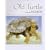Old Turtle