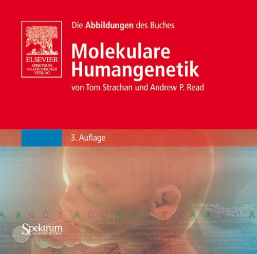 Abbildungen