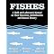 Amateur or beginning marine naturalist?