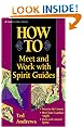 How to Meet & Work with Spirit Guides (Llewellyn's Practical Guide to Personal Power)