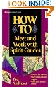 How to Meet and Work with Spirit Guides (Llewellyn's How to)